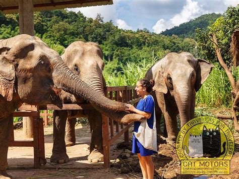The 6 BEST Ethical Elephant Sanctuaries In Chiang Mai.